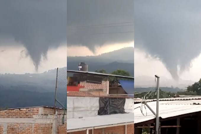 Culebra de agua sorprende a habitantes de Peribán