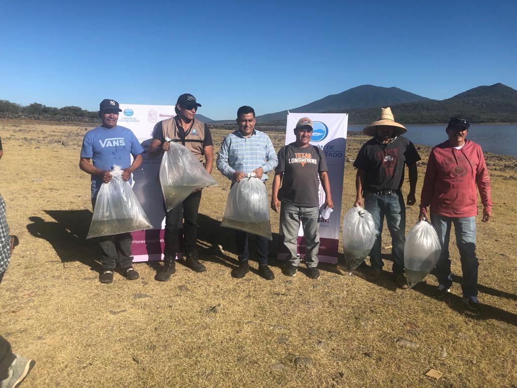 Compesca siembra 100 mil crías de tilapia en presa Melchor Ocampo